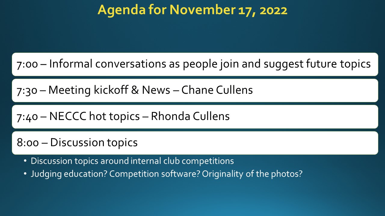 Meeting Minutes – November 17, 2022